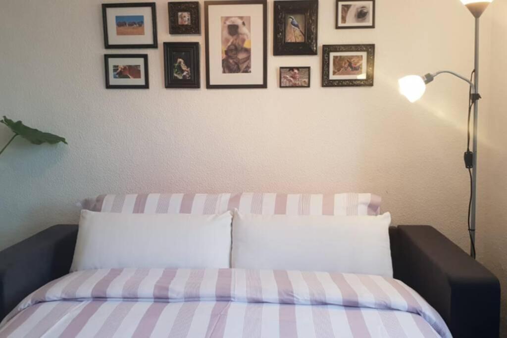 Bonito Y Coqueto Apartamento Córdova Exterior foto